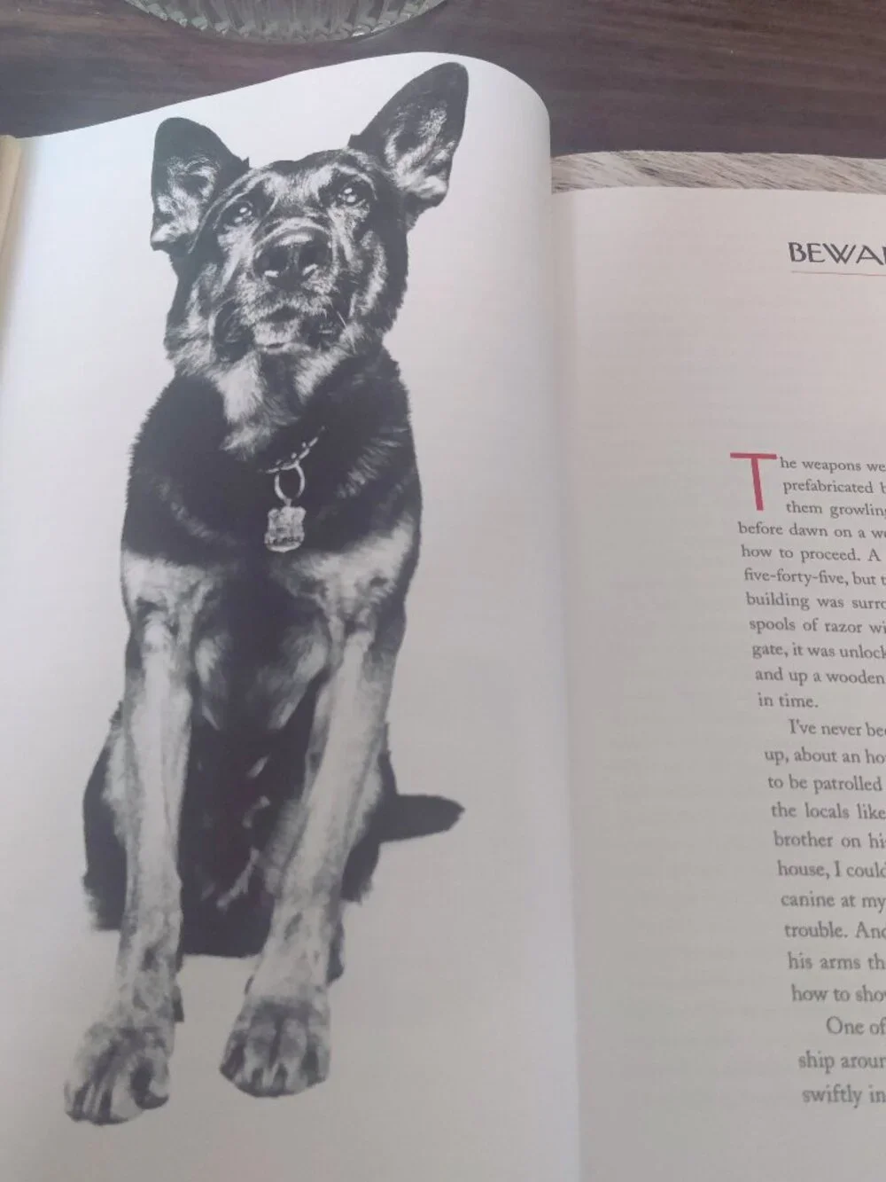 New Yorker book photographs